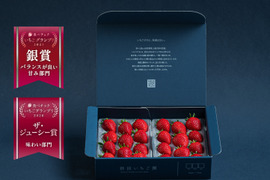 【🥇いちごグランプリ2026 ジューシー賞受賞】いちごさん&やよいひめ　いちご食べ比べセット【2パック/500g】ギフト/贈答用/ご家庭用