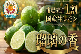 【市場流通わずか1割】緑の宝石とも呼ばれる次世代を担う国産生レモン『璃の香』お試しキャンペーン約1㎏【9月中旬予約】