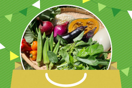 【アワード受賞福袋】心温まる冬野菜☆ミネラル補充☆カラフル野菜セット☆