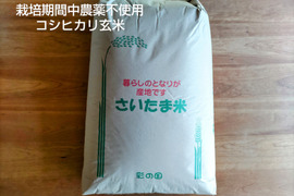 一等米【エコ梱包】栽培期間中農薬不使用コシヒカリ　玄米24kg】天然資材＆有機質肥料のみ🌱1年間🌱農薬・化学肥料・除草剤・動物性堆肥不使用【令和6年産】米・穀類🥇１位受賞✨AW2023
