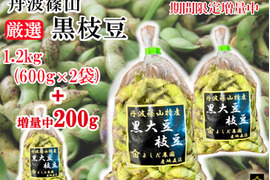 【令和8年黒枝豆・予先行予約・増量特典付き】丹波篠山産 黒枝豆 さや1.4kg（通常1.2kg＋200g）農家直送・期間限定 丹波篠山 黒枝豆 産地直送 大粒 最高級 さや 枝豆 丹波篠山黒枝豆