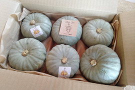 ホクホク甘いミニかぼちゃ”白い坊ちゃん”6個入り