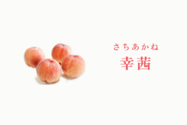 【数量限定】幸茜｜夏を彩る今季ラストの桃　おうち用 約2kg・5〜6玉