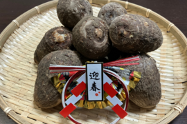 12/22まで受付⭐️お正月用 発送期間限定⭐️掘りたて❗愛媛産 純白の里芋 4.5㎏