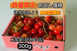 【数量限定お試し価格】さくらんぼご家庭用(訳あり品)300g