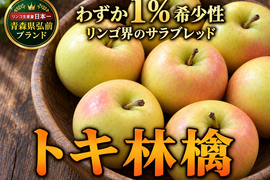 🍎今を逃したら1年待ち林檎トキ🍎わずか1%りんご界のサラブレッド次世代のエースを背負う林檎～品種指定キャンペーンお得な大容量パッケージ～🍎高級秋ギフト🍎【家庭用・贈答用】【10月下旬予約】