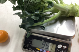 同梱ブロッコリ　12日発送限定4本