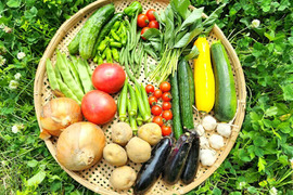 信州夏野菜セット【10品目】