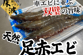 🦐知る人ぞ知る天然の濃厚甘味エビ🦐トロけるしっとり弾力が堪らない希少海老☆天然国産『足赤エビ』約500g長州床波ブランド【9月上旬予約】