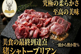 【貴族が独占する頂点】一頭から僅か数％“極上猪シャトーブリアン”🍖別格の超希少肉約100g
