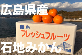 【大玉】樹上熟成！広島県産 ｢石地みかん｣ 10kg箱