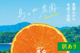 【訳あり】島のねまどんな【愛媛みかん/木成り完熟/サイズ混合/2kg】