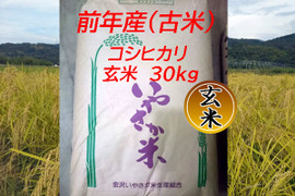 <古米>令和４年産 コシヒカリ 玄米 30kg【金沢いやさか米】
