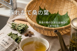桑の葉（生葉）採れたて🌿30枚🌿さっと蒸してそのままお茶に🍵自然栽培🌿農薬、化学肥料、動物性肥料不使用☆植物の中でも珍しい成分1-デオキシノジリマイシンが糖質分解を抑え食後の血糖値上昇を抑える