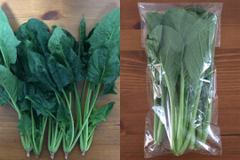 ほうれん草（200g x 3袋）+ 小松菜（250g x 2袋）　＜農薬・化学肥料不使用＞
