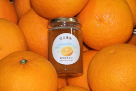 【食べ比べ】太陽の恵み駿河あまなつ&マーマレード（２Ｋ箱）