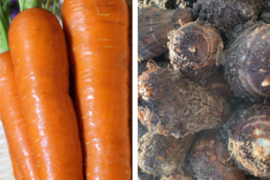 １／１５～✨穫れたて直送❗ほのぼのキャロット(人参)3㎏＆純白の里芋(さといも)1.5㎏