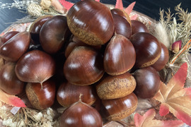栗の通販｜果物｜食べチョク｜産地直送(産直)お取り寄せ通販