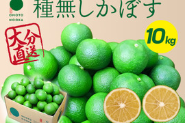 生でギュッと！残暑にはスッキリ種無しかぼす（１０kg）