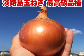 【玉ねぎの最高峰】淡路島 完熟玉ねぎ10kg 約30～40個入
