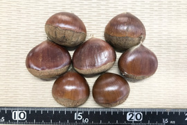 【Momo様専用】小粒でごめんね！大分県産栗(2kg)