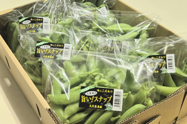 【岐阜県産】シャキッと甘いスナップえんどう３００g×６