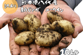 熊本県八代産　訳あり新じゃが　メークイン　10Kg