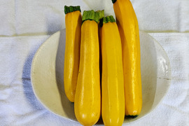 【栽培期間中　農薬不使用】主役にも、脇役にもなれる！肉厚ズッキーニ　黄色（60サイズの箱にはいるだけ！）