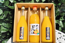 四季彩園のくしもとポンカンジュース