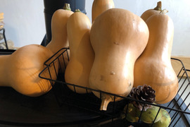 蔵王高原産　バターナッツかぼちゃ　６ｋｇ