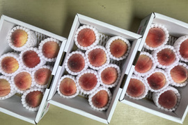 【200円割安】温室桃はなよめ計2.7kg(18〜24個入り)