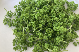 京都産　天然　花山椒　50グラム