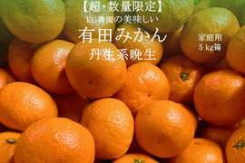 【超数量限定】丹生系晩生 有田みかん 5キロ箱 和歌山県 有田 みかん 2S~3Lサイズ　家庭用キズあり