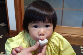 【自然栽培】里芋２種類食べ比べセット！栗のようにホクホク甘い里芋 八つ頭 ＆ 在来種の里芋 大野在来（大野芋）合計2.5kg