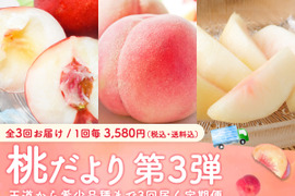 【売り切れ】【限定300セット】3種の桃だより第3弾（食べチョク公式）