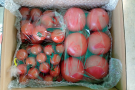 【健やか潤いトマト】ミニ・中玉・大玉トマトの旨みが一度に味わえる食べ比べセット1.8kg　埼玉県行田産