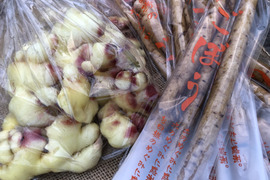 爽やかな香り留守農場の新生姜＆みずみずしく柔らかくて美味しい新牛蒡のセット