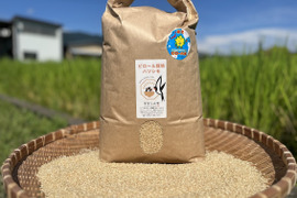 【農薬・化学肥料不使用】ピロール栽培米ハツシモ【10kg】【玄米】【令和7年産】