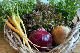 京野菜自然栽培、旬の高原野菜セット5品目～6品目、60サイズ