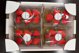 【特Aやよいひめ】宮城蔵王産 250ｇ×4ｐ