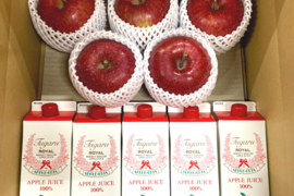 【セット】ご家庭用！りんご＆ジュース詰め合わせ  りんごの名産地青森広船より