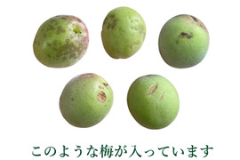☆訳あり【青梅・品種混合約3kg】梅酒・シロップ作りに！特別栽培・奈良県吉野