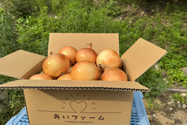 【初出品特別価格】【限定10個】甘さたっぷり！淡路島産玉ねぎ！ターザン１０㎏