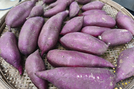 なめらかな食感、シルクスイート（約1.5キロ）