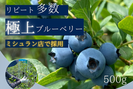 【極上】完熟 生ブルーベリー！ 甘くてジューシーな 500g