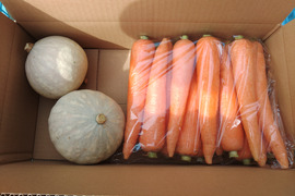 【野菜2種セット】　彩誉ニンジン 2.5kg　×　白爵かぼちゃ 2個（600g×2）