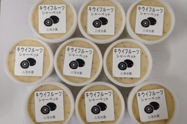 【無添加】キウイシャーベット9個【冬ギフト】