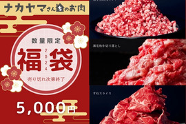 ナカヤマさんちのお肉　5,000円福袋 ご家庭の味をさらにおいしく！ 和牛切り落とし肉 400g すねスライス 400g 和牛100％ミンチ 500g 豪華1.3kg 大容量福袋