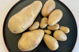 お得！【訳アリ】メークイン箱込4ｋｇ（本州の方限定）