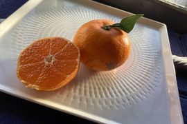 石積み潮風祖たちの段々畑のもぎたて石地みかん1.5kg　MLサイズです傷などはありますが寝かせて甘くする蜜柑が今もしっかり甘いし酸味がいいバランス。寝かして好みの味にもミカン好きはぜひ7箱まで送料同じ